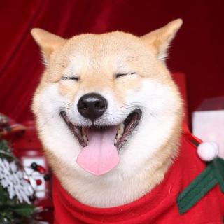 023.热爱“乙游”纸性恋，为被尊重、鼓励的自己