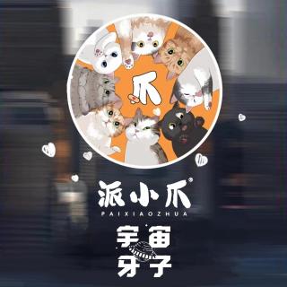 派小爪：流浪小猫的超级奶爸下！