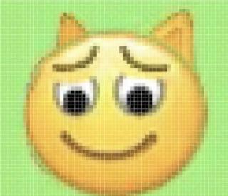 「森森&Cocoa&Young楽多」恭请yong楽多的贱台知识问答