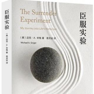 Vol.81 抛却个人偏好，顺应生命之流-《臣服实验》