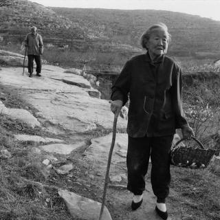 观焦波导演《俺爹俺娘》，有关农村和死亡的浅思