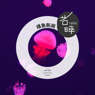 vol.155 摸鱼新闻24年10月-岩碎电波