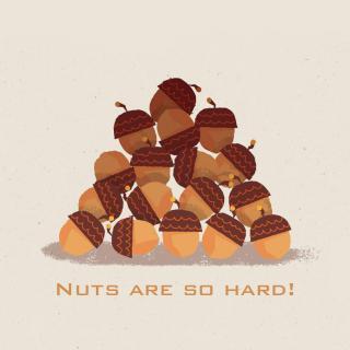 榴莲客栈.第209期.干果干果硬邦邦