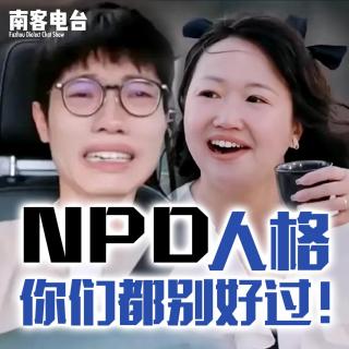 【南客电台No.5】NPD，进击的麦琳！（上）