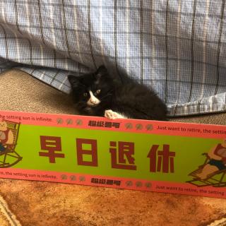 你的生活是不是也按下了快进键