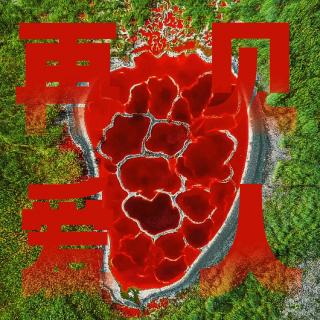 《再见爱人》走进亮子隶学(上)