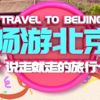 Vol.43春节旅游指南针之避坑启示录