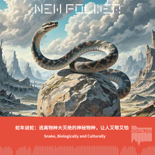 E274:蛇年说蛇：逃离物种大灭绝的神秘物种，让人又敬又怕