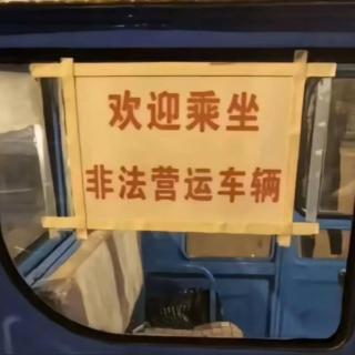 Vol.113 勇闯大雨林，爱拼就会赢