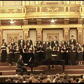 E20 过年回家千百态（二）维也纳金色祠堂演社火