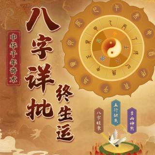 浅谈下四柱八字紫微斗数（沈老师）