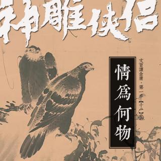 神雕侠侣|情为何物[文盲读金庸·第一季·11]