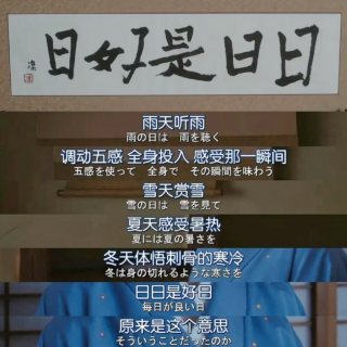 44. 日日是好日，日日过好日。别在等待中错过好日子