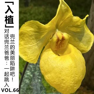 Vol.66【入植】对话兜兰爸爸：一起跳入兜兰的美丽陷阱吧！