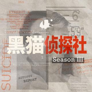 S3E3. 两个花季少女与神秘火灾：美国18年追凶连环杀人谜案