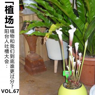 Vol.67【植场】阳台人吐槽大会：植物和我们到底谁更过分？