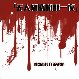 E69 无人知晓的那一夜：武冈市长自杀疑案
