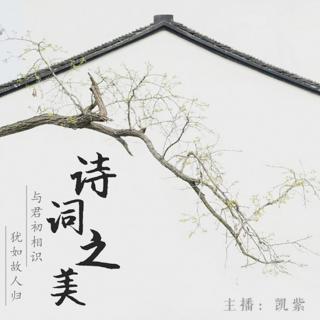 后来，我才明白