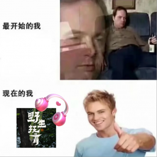 49. 于野生之境，以抚育之名，从主播「一周年」的笨拙进化说起