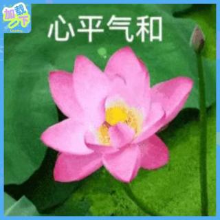 020. 知道健康重要，但就是很难“特别努力”