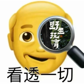 50. 如何锻炼一眼看清本质的能力？让决策更快、内耗更少、方向更准