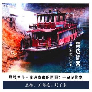 113. 撞进那晚的雨雾：3.31千岛湖惨案|回馈听友之点播案件