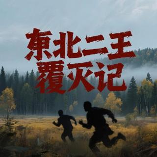 “东北二王”覆灭记（下）【悬疑案件库】