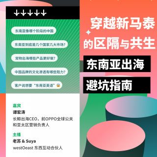 穿越新马泰的区隔和共生：东南亚出海避坑指南