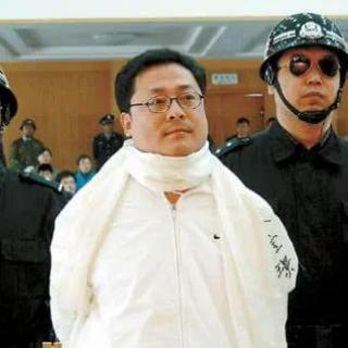 【拍案惊奇】（6）袁宝璟案：亿万富翁，为何雇凶杀人