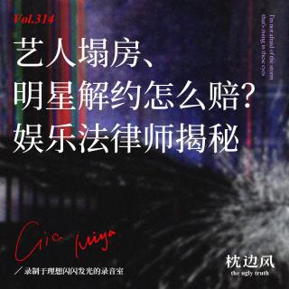 vol.314 艺人塌房、明星解约怎么赔？娱乐法律师揭秘！