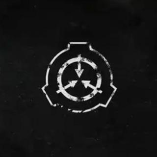 81.嗑药的灯神/少女与猪/无故事性玛丽苏『███基金会』