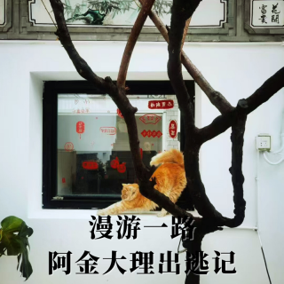 漫游一路 I  阿金大理出逃记