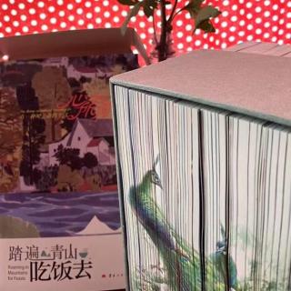 从菜街到厨房-55 小电卖瓜：《踏遍青山吃饭去》背后的故事