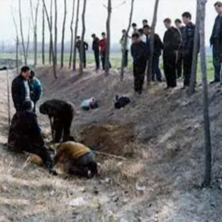 绝密档案 向阳团伙覆灭记