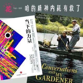 一部电影一本书，咱的精神内耗有救了·花样更年华 Vol：089