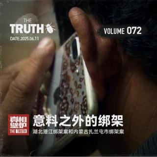 72 意料之外的绑架：湖北潜江绑架案和内蒙古扎兰屯市绑架案