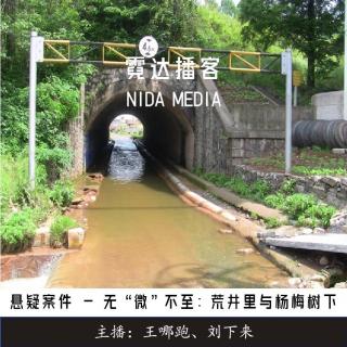 117. 无"微"不至：荒井中与杨梅树下