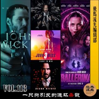 第113期.【佳片有约】：《疾速追杀》——一只狗引发的连环杀戮