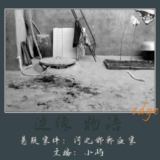 44.复仇之刃：河北邯郸血案