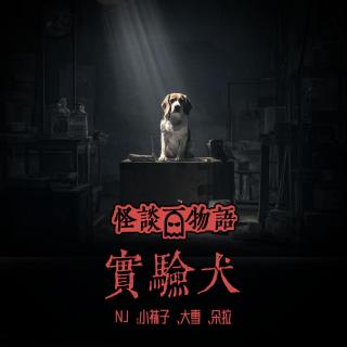 VOL380.实验犬 | 无影灯下的归途
