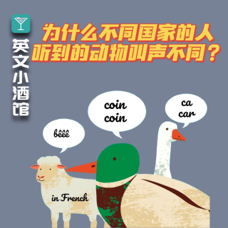 文化透镜下的"叫声差异"，西方的鸡鸭鹅狗猫叫的都是外语？