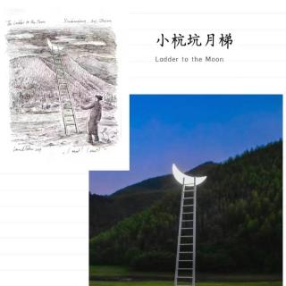 柒拾柒|文章写作：艺术有能够让人静下心来的效果
