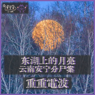 E37.东湖上的月亮：云南安宁分尸案