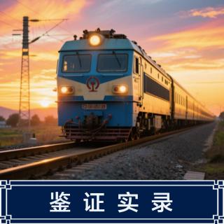 209.台湾世纪大案，火车接连出轨竟然是因为他