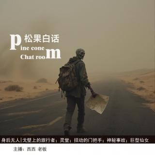 137.身后无人|戈壁上遇到的行尸走肉；没有记录的交通事故；家有有人扭动了门把手