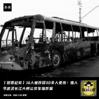 16人被炸碎30多人受伤：武汉长江大桥公交车爆炸案丨刑侦八虎