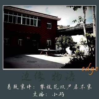 44.第三滴血：攀枝花双尸虐杀案