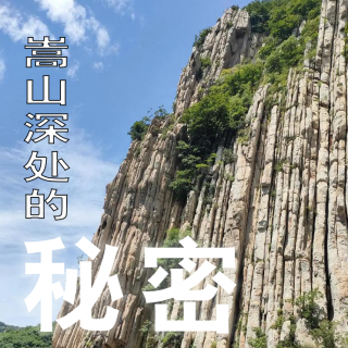 E75 嵩山深处的秘密：上世纪90年代连环案一则