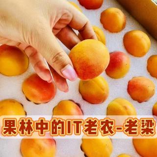 挣钱赛道千千万，大厂并不见得是终点！新农人“老梁”回归田园悠然自得！
