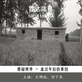 119. 走过午后的麦田